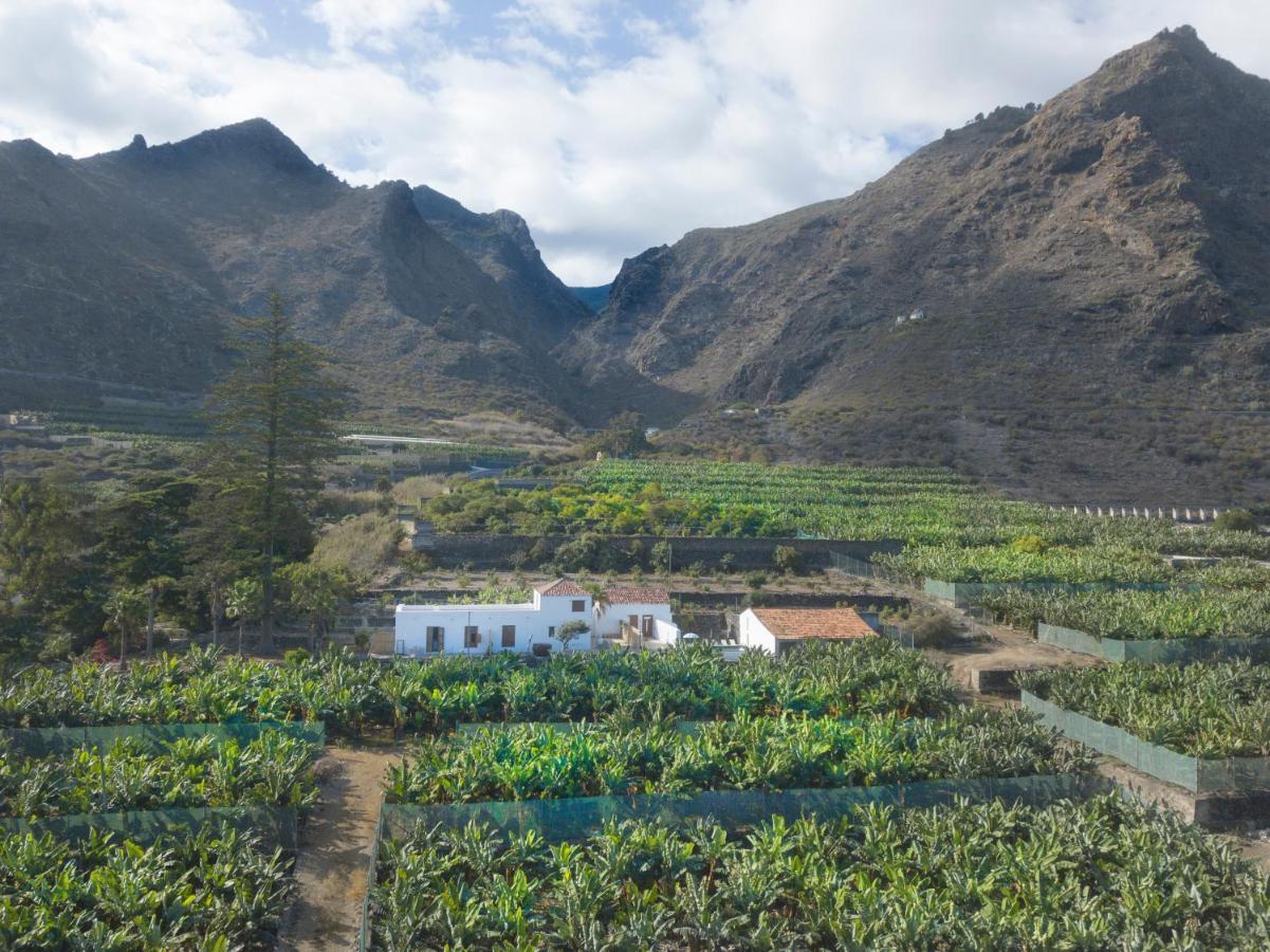 Hacienda Camino De La Cruzada Villa ลอส ซิลอส ภายนอก รูปภาพ