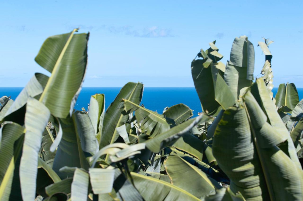 Hacienda Camino De La Cruzada Villa ลอส ซิลอส ภายนอก รูปภาพ